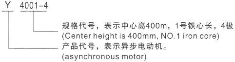 西安泰富西玛Y系列(H355-1000)高压YJTGKK5602-8三相异步电机型号说明